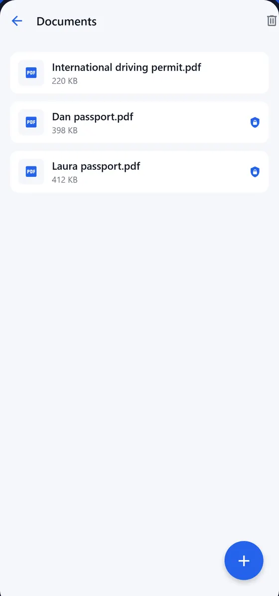 Documents folder with protected passports