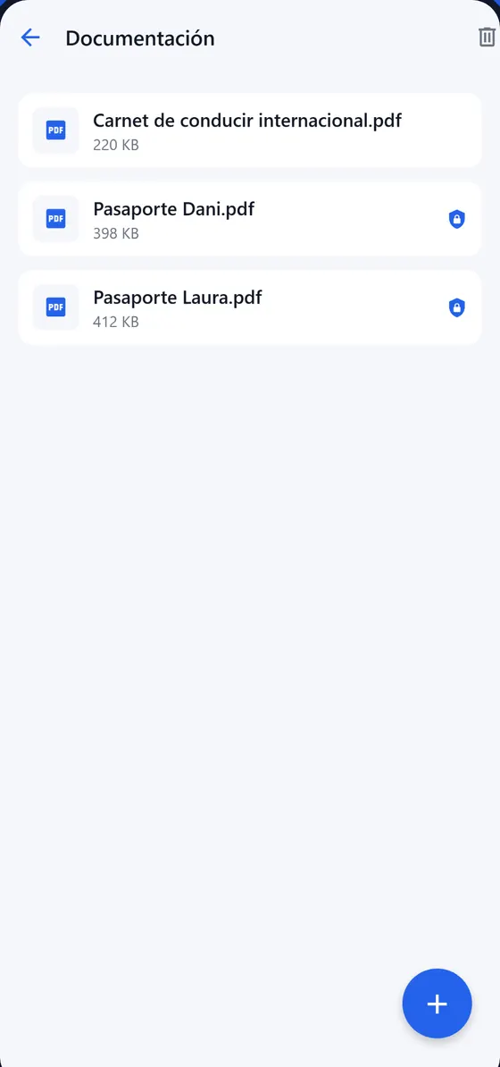 Carpeta de documentación con pasaportes protegidos